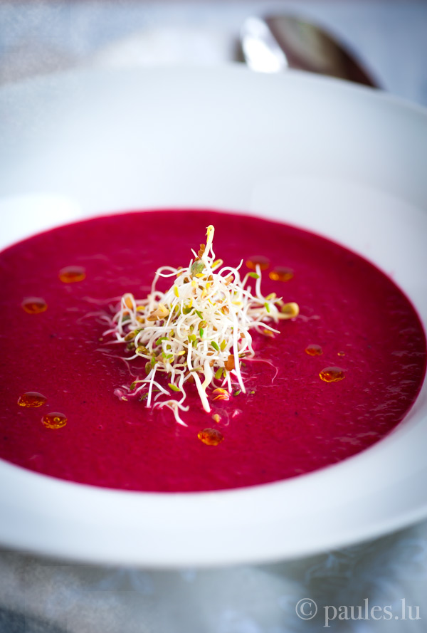 foodblog: paules ki(t)chen » Blog Archiv » • Rote Bete Suppe mit ...